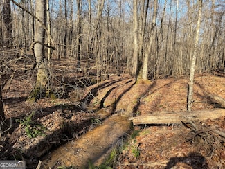 LOT 15 Indigo Trail, Newnan, GA 30263