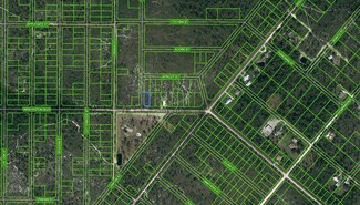769 Washington Blvd, Lake Placid, FL 33852