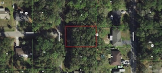 3915 S Ventura Ave E, Inverness, FL 34452