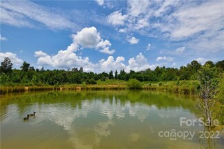 23.36 Acres Hwy 9 Hwy, Chester, SC 29706