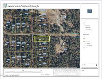 L410 Caswell Lakes, Willow, AK 99688