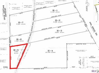 TBD H-5 Pea Ridge Rd, Albany, LA 70711