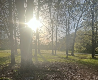 10962 Newtown Rd, Unionville, TN 37180