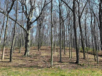 875 Lovetree Ln, Lafayette, IN 47905