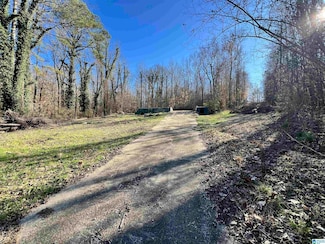 1068 Cedar Ln Unit 1, Blountsville, AL 35031