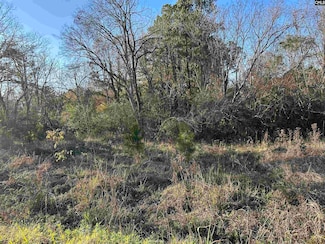 107 Boundary St, Newberry, SC 29108