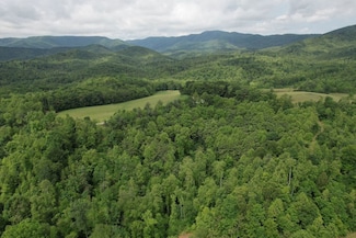 0 Woods Gap Rd Unit LotWP001 23604168, Woolwine, VA 24185
