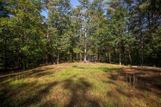 23 Clothespin Bridge Rd, Webster, NH 03303