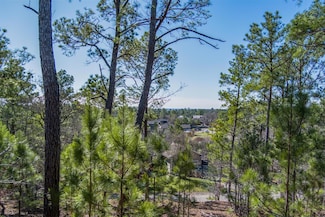 222 Makaha Dr, Bastrop, TX 78602