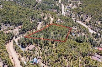 8793 Martin Ln, Shadow Mountain, CO 80433