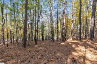 Lot 202 Shorewinds Ct, Seneca, SC 29672