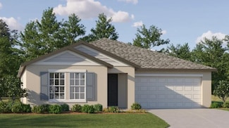 Dover, Land O Lakes, FL 34637