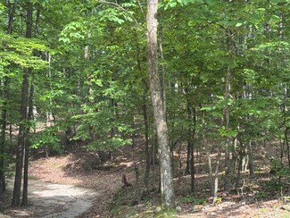 0 W Watts Rd Unit 1513205, Ringgold, GA 30736