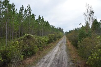 0 Louise Rd, Gainesville, FL 32609