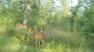 ON Tower Rd, Merrill, WI 54452