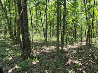 0 Hwy 42 Unit 428300, Belle, MO 65013