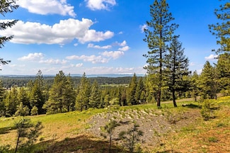 Lot 14 Harrington Place Unit 14, McCall, ID 83638