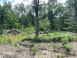 TBD Hoosier Flats Rd Unit B, Traverse City, MI 49685