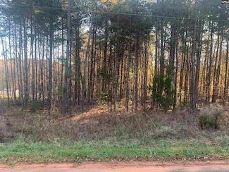 0 State Road S-42-1879, Chesnee, SC 29323