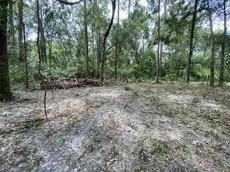 16588 NW 80th Ave, Fanning Springs, FL 32693