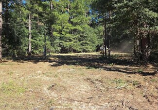 7p Shad Rd, Williston, SC 29853