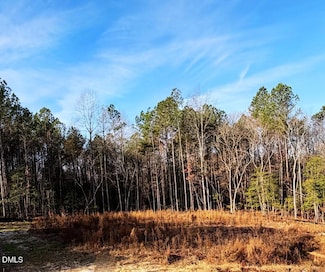 335 Little Lady Trail, Zebulon, NC 27597