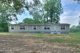 620 Cedar Grove Rd, Lena, MS 39094