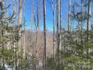 Lot 5 High Peak Dr, Burnsville, NC 28714