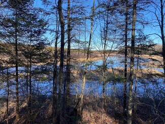 1022 Peshtigo River Rd, Laona, WI 54541