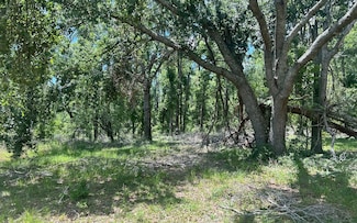 00000 River Rd, Live Oak, FL 32060