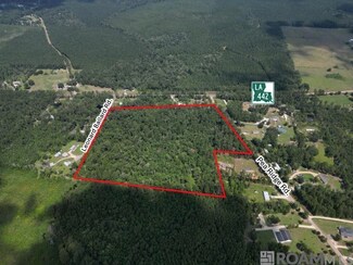 TBD Pea Ridge Rd, Albany, LA 70711