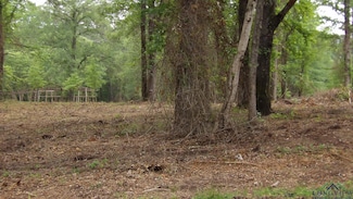 LOT 1 Cooper Lake Rd, Jefferson, TX 75657