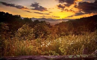 LOT 29 Raven Ridge Rd, Clayton, GA 30525