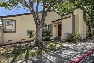 1054 Whitebick Dr, San Jose, CA 95129