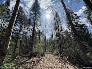 4233 Hardacre Trail, Roscommon Township, MI 48629