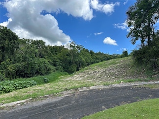 Carr 160 Solar 8 Bo Almirante Sur, Vega Baja, PR 00693