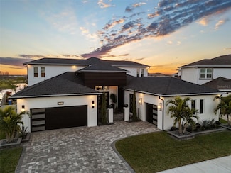 8621 Ivy Stark Blvd, Wesley Chapel, FL 33545