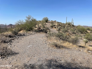 3246 N Silver Tip Trail Unit 3, Queen Valley, AZ 85118