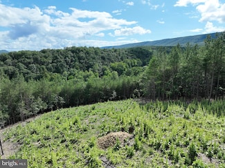 20.17 AC N Texas Rd, Delray, WV 26714