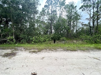 12353 Ripple Dr, Punta Gorda, FL 33955