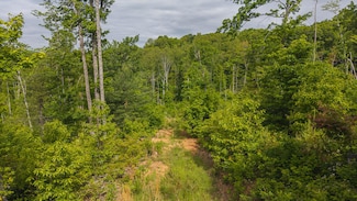 Lot 2 Shortcut Dr, Woolwine, VA 24185