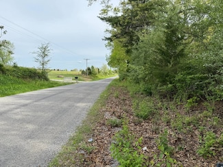 121 Ozark Rd, Simpson, IL 62985