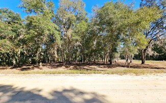 TBD Dale St, Other, FL 32148