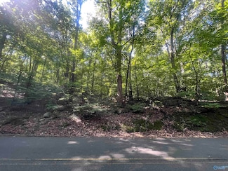 lot 91 and 92 Wyeth Dr, Guntersville, AL 35976