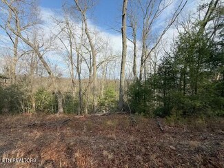 973 & 974 Ridgefield Dr, Sevierville, TN 37876