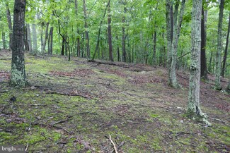 122 Crossings View Rd, Bloomery, WV 26817