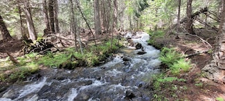 574 Poco Lobo Rd, Yaak, MT 59935