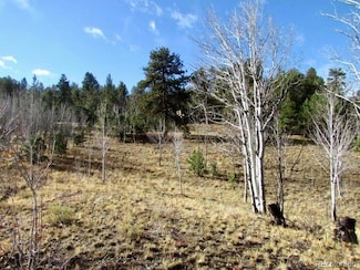 0 Tbd Cherokee Trail Unit REC7646690, Hartsel, CO 80449