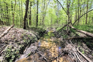 Ct, Grand Junction, MI 49056