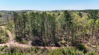 0 Hugh Hudnall Rd, Decatur, MS 39327